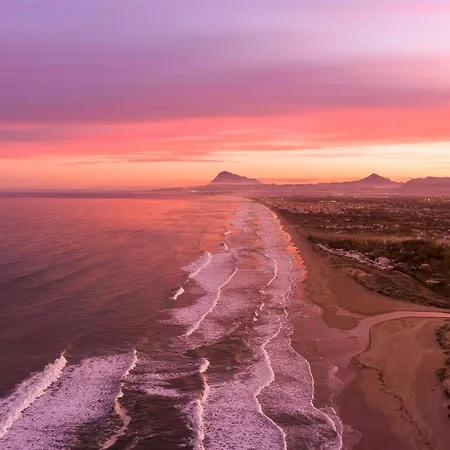 Nucifera By On Travel Oliva